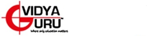 Vidya Guru IAS Academy Delhi Logo